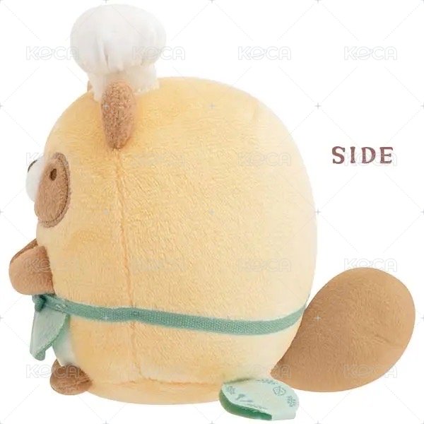 狸貓