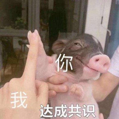 ZB1(九人)/ALD1 福袋