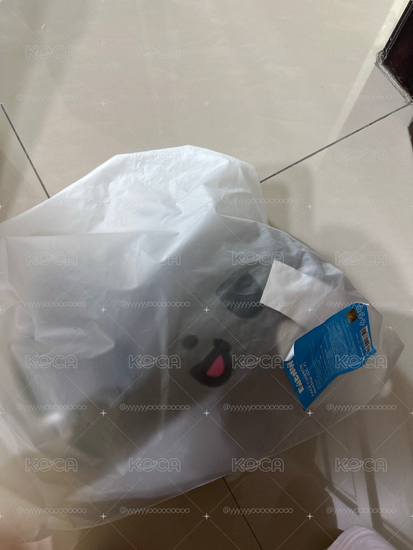 ［中秋特惠］Enhypen ENCHIN 朴綜星 恩親抱枕