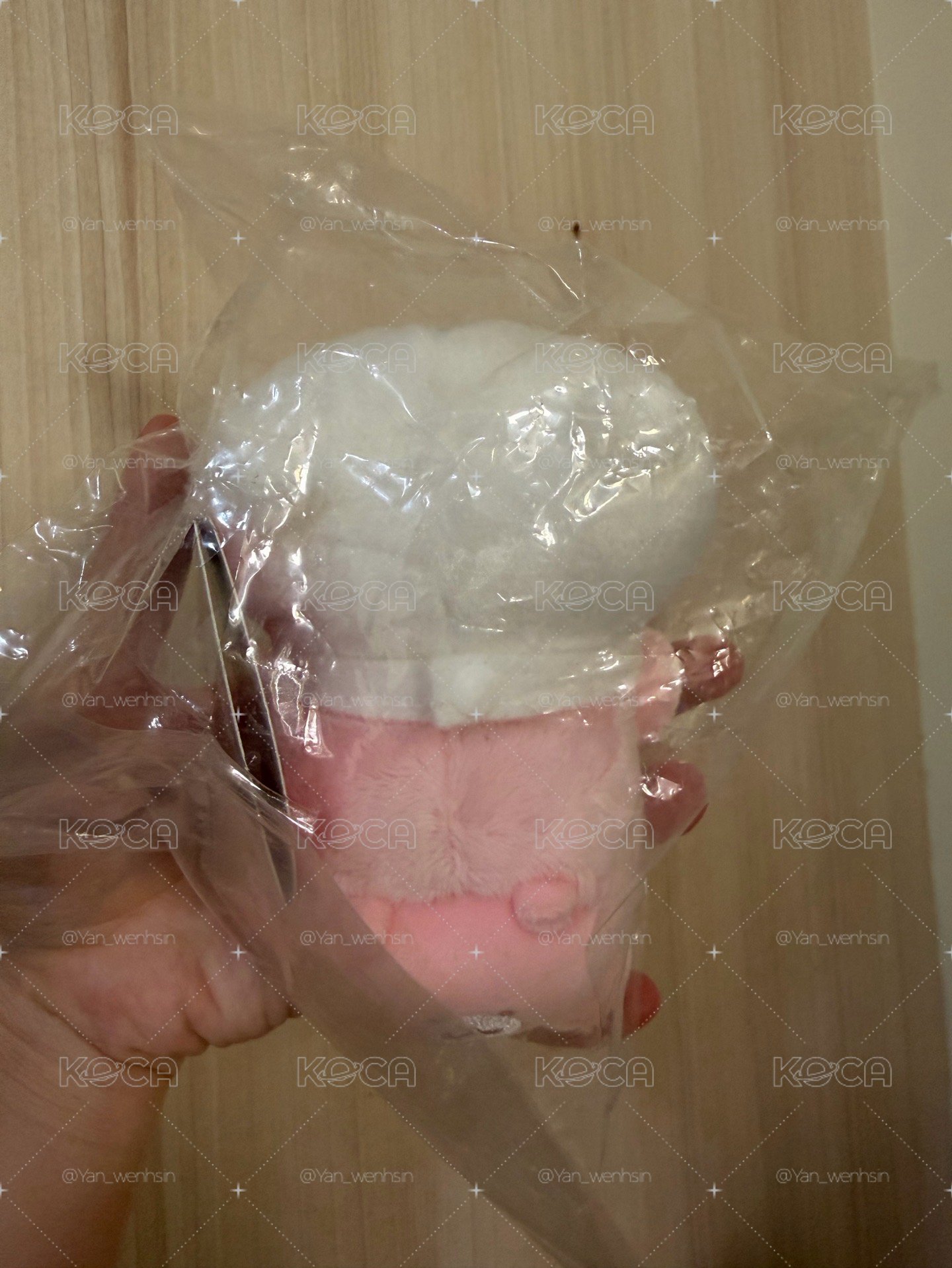 寶寶系列 趴娃 吉伊