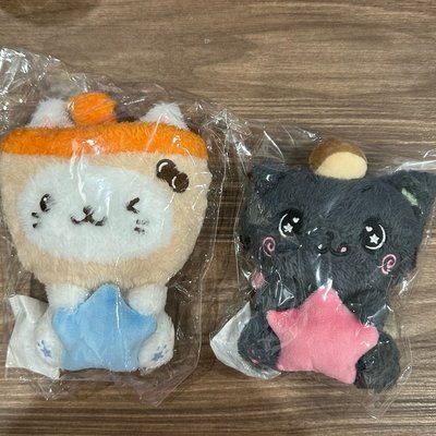 一巡安可 星星坐娃 🐈‍⬛🐈