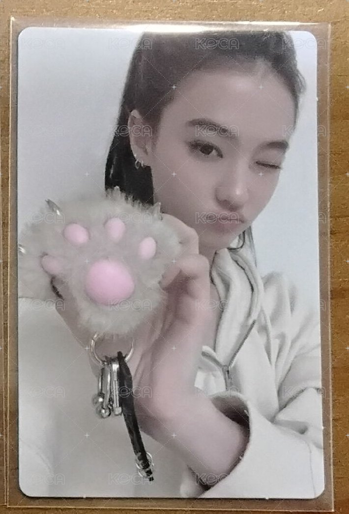 Ella 貓爪專卡