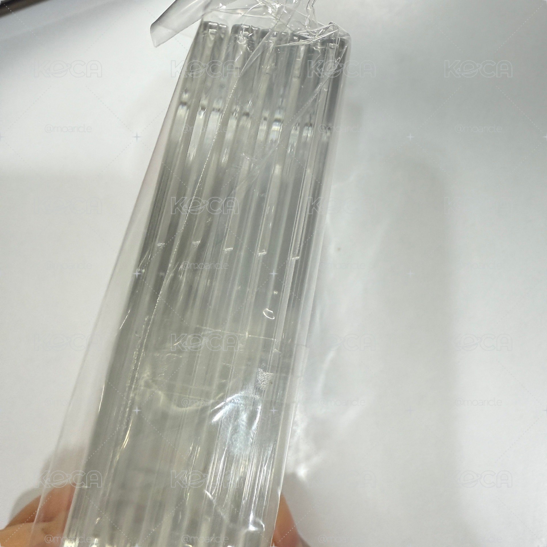全新 萌貓江之畔 緊湊貝殼卡磚 高透 