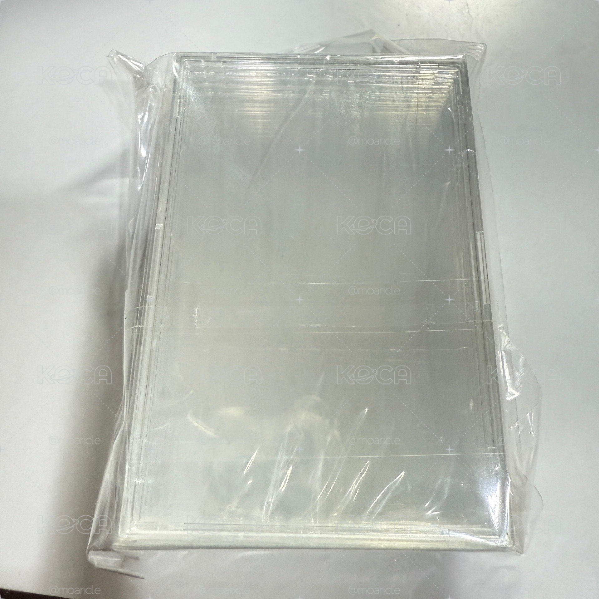 全新 萌貓江之畔 緊湊貝殼卡磚 高透 