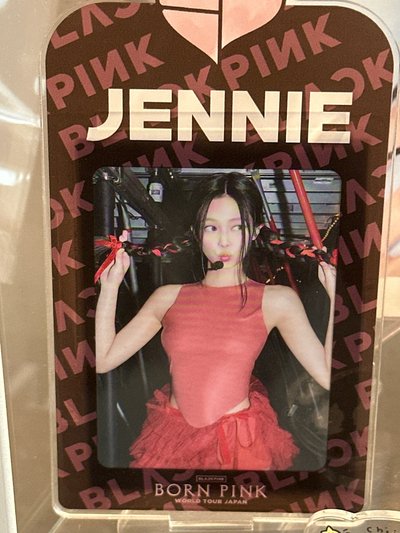 擺在書桌上超美的小妮卡