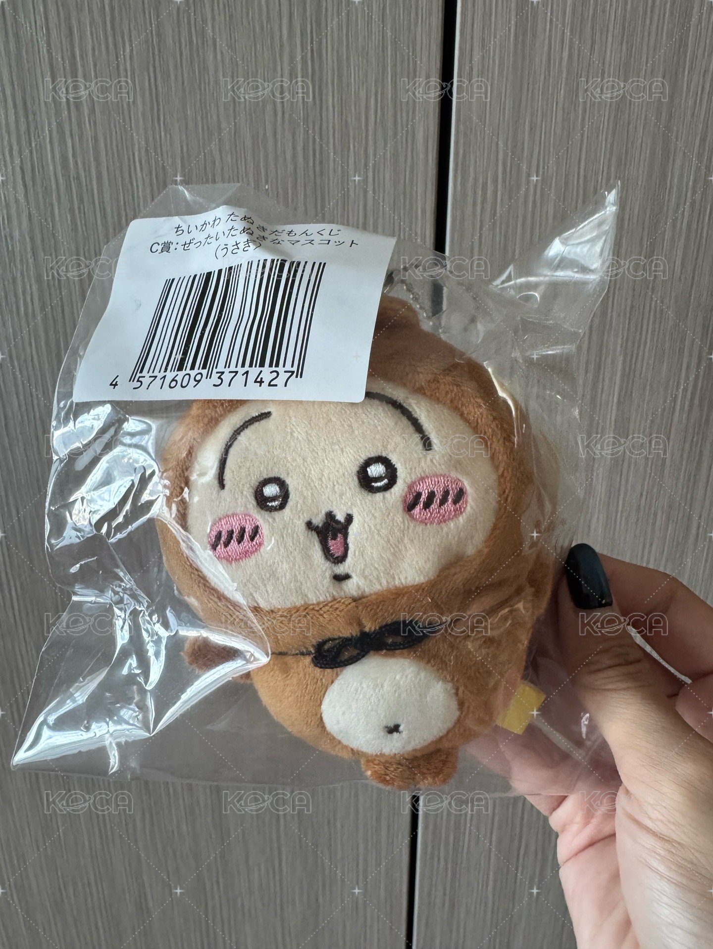 日版狸貓兔 需綁2其他狸貓