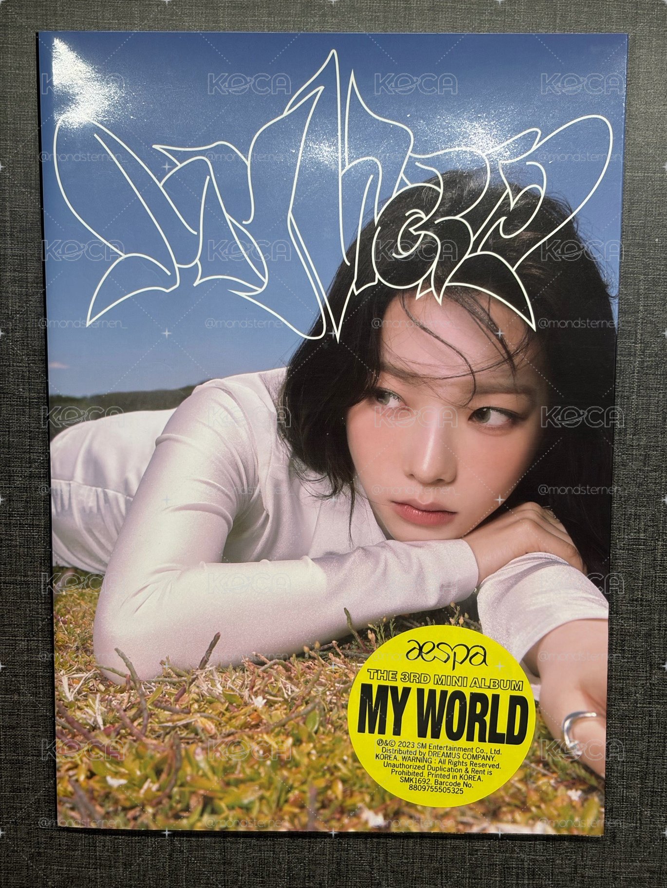 aespa/TWICE空專