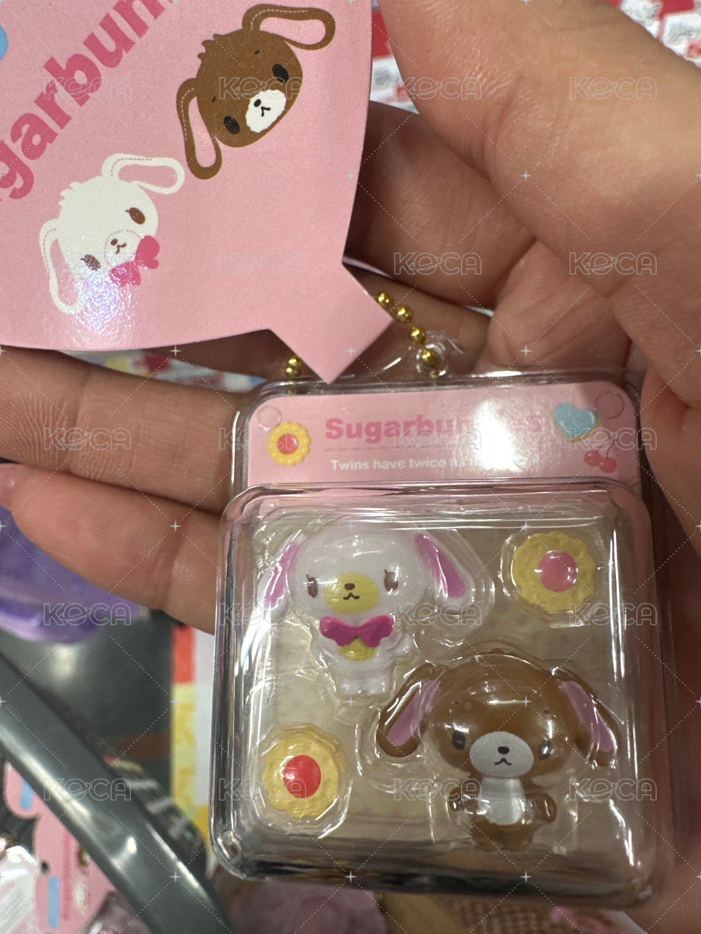 蜜糖邦尼