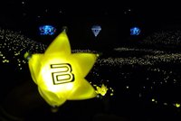vip818ho