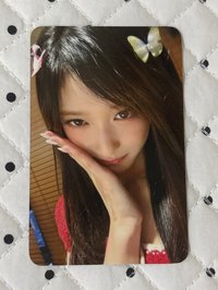 蝴蝶瑞🦋