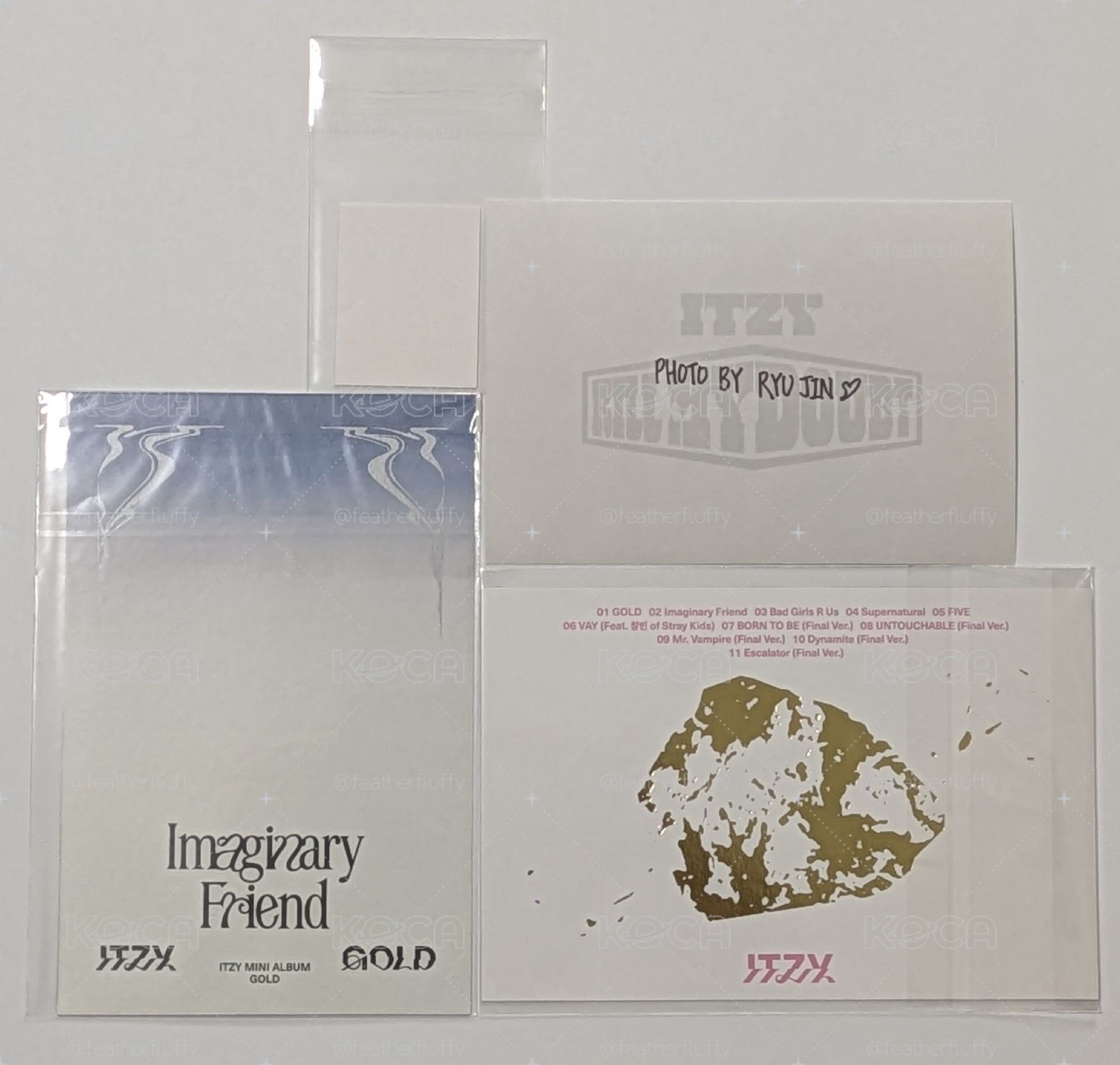  🦥Lia 專輯隨機物小盤 送娜證件照×1