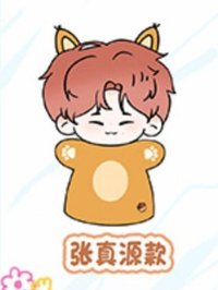 i D.O.L.L絨偶 張真源 布手偶 