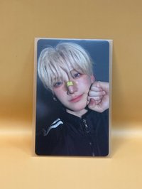 ok繃小貓撒嬌