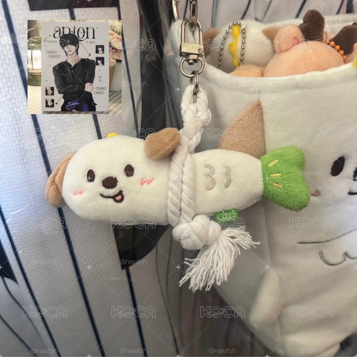 🐶🐟