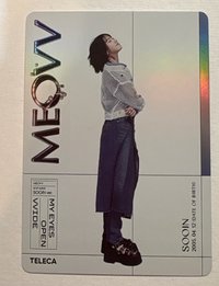 十一