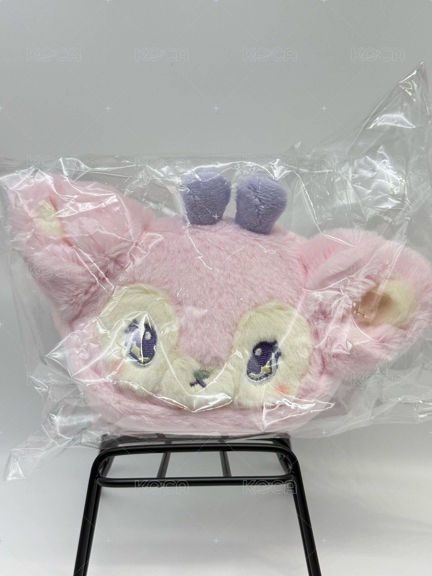 薛