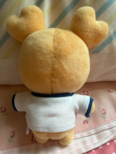 TWICE 效布里