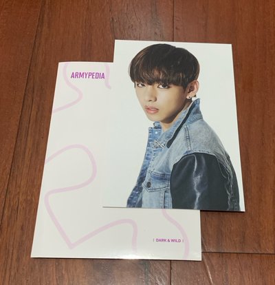 ARMYPEDIA D&W 金泰亨 V