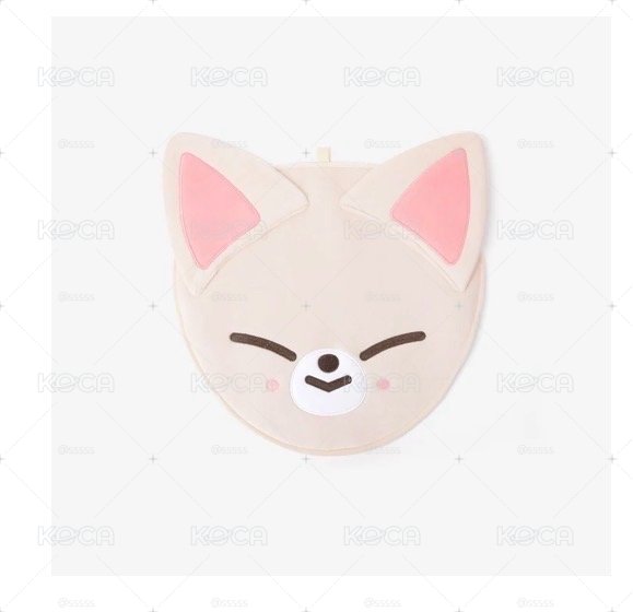 🔴隨時收單 SKZ 日巡 RUN IT 扇套