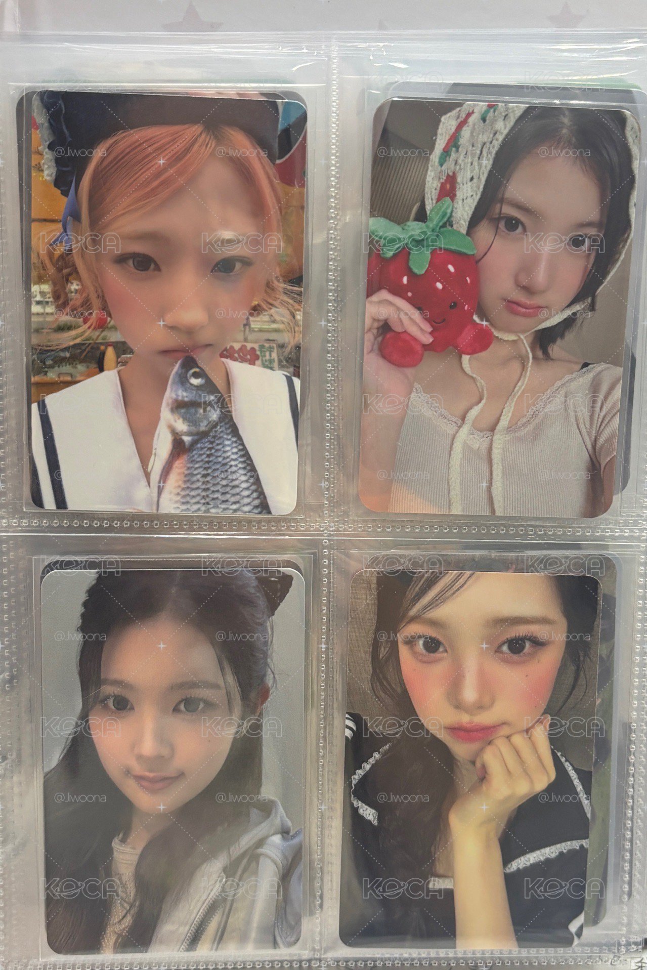 左上Stella 左下Ana