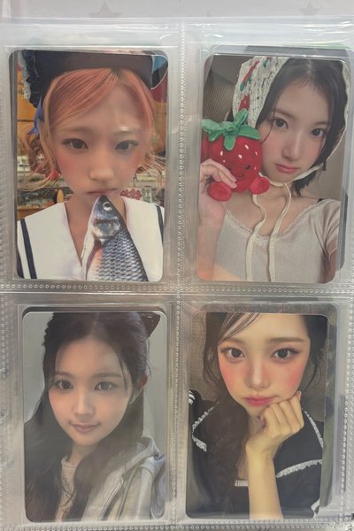 左上Stella 左下Ana