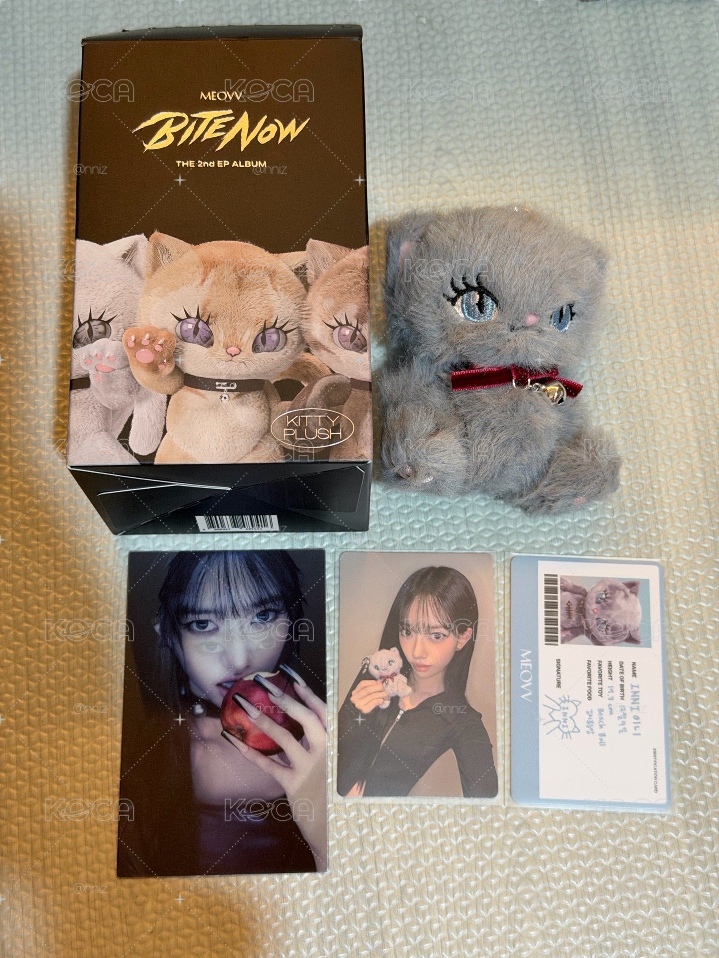 BITE NOW KITTY PLUSH ver. 專輯卡 