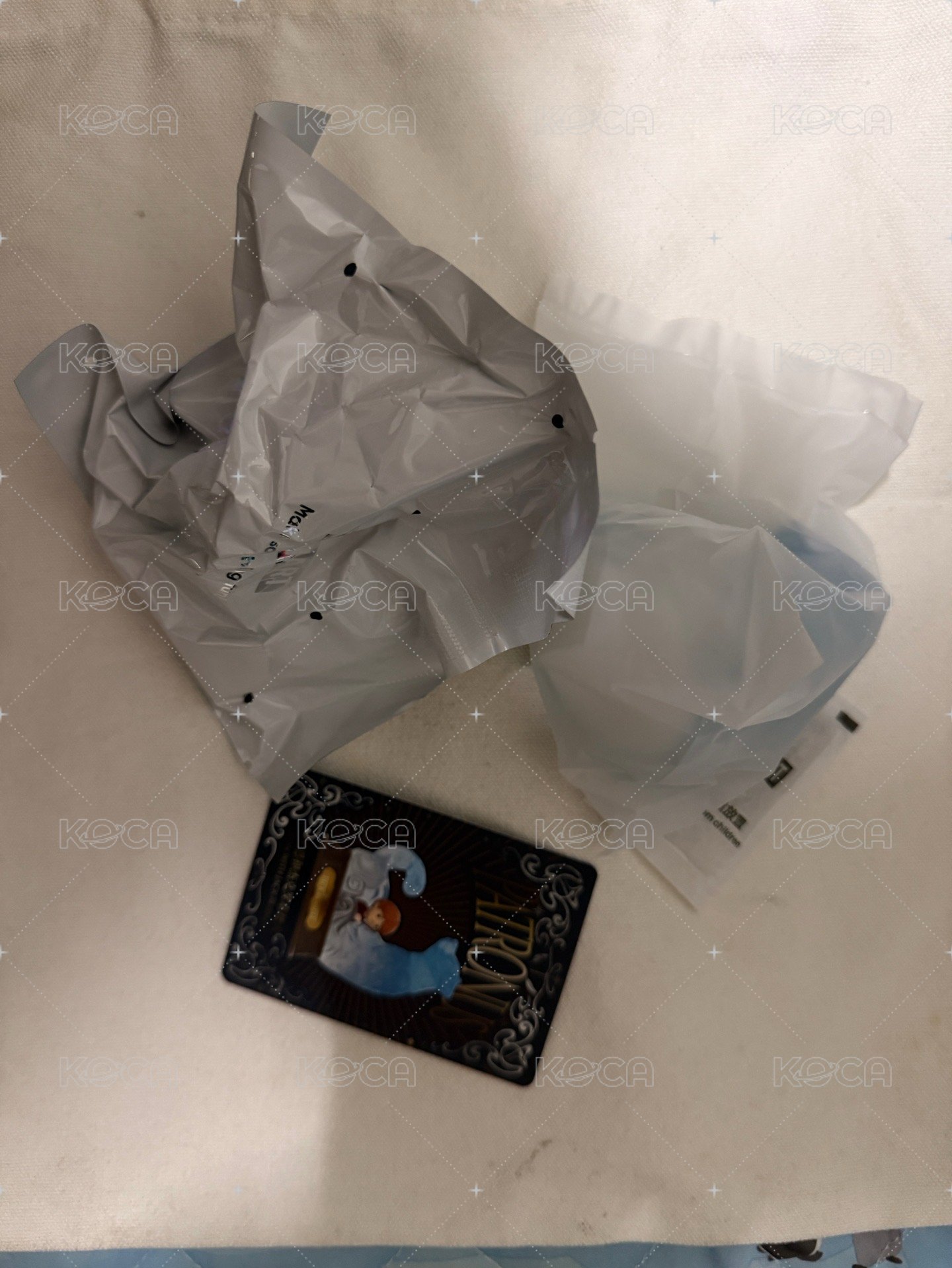 🐶 榮恩和傑克羅素梗犬
