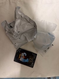 🐶 榮恩和傑克羅素梗犬