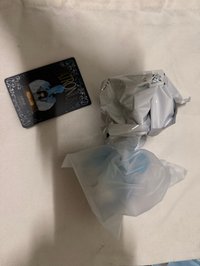 🦢 秋和天鵝