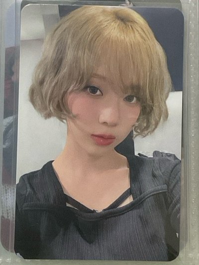 ms冬