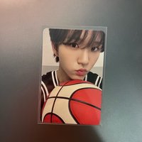 籃球小樹