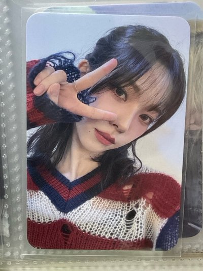 毛衣柚