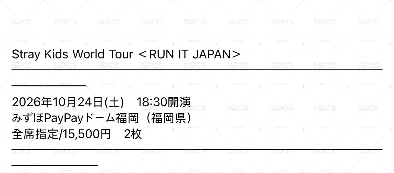 12/24 SKZ Stray kids 日巡 福岡場 W會員