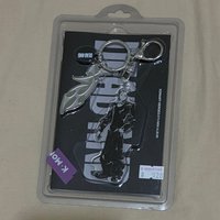 鴨 鑰匙專