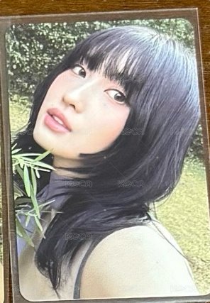 迷13專卡
