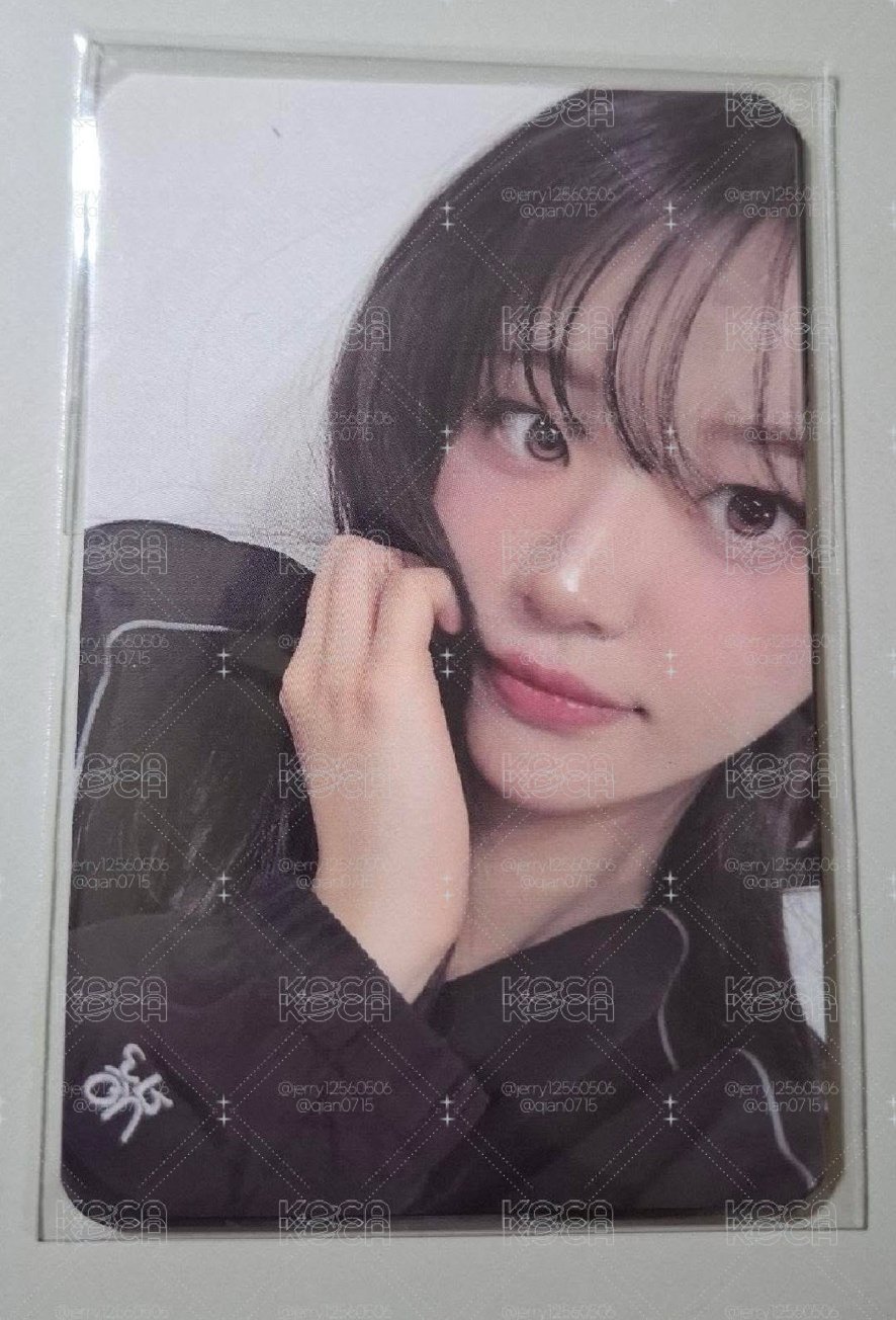 全新who.a.u絕版小熊+外套卡一套四張