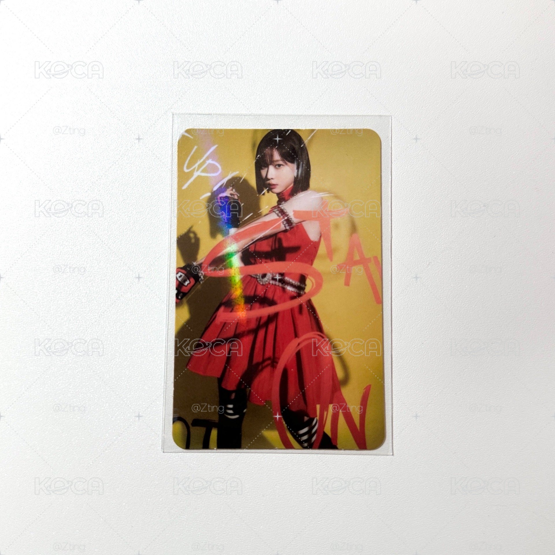 Stamp On it教保冬