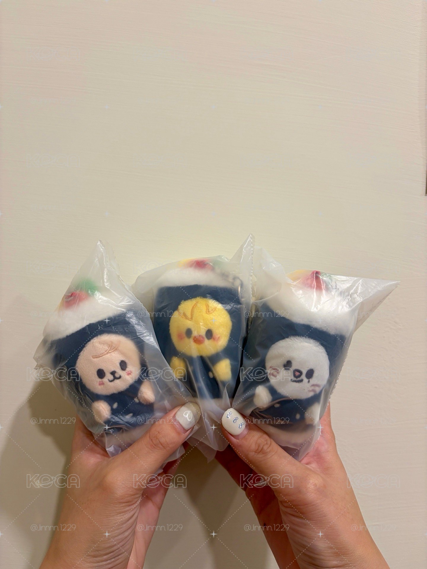 現貨｜全球快閃SKZOO 飯捲娃