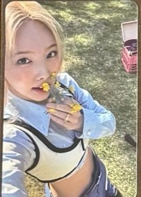 迷11專卡