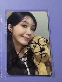 狗狗