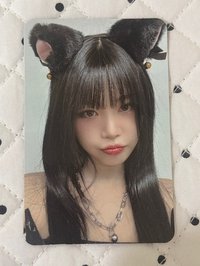 貓貓珍