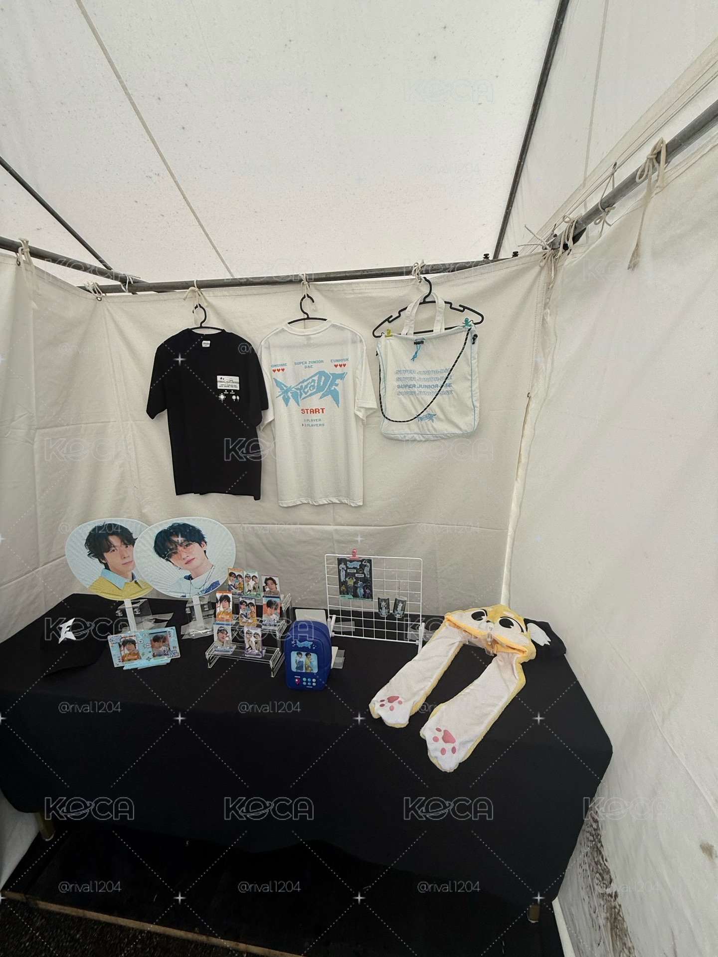 D&E 日本fan party 代購