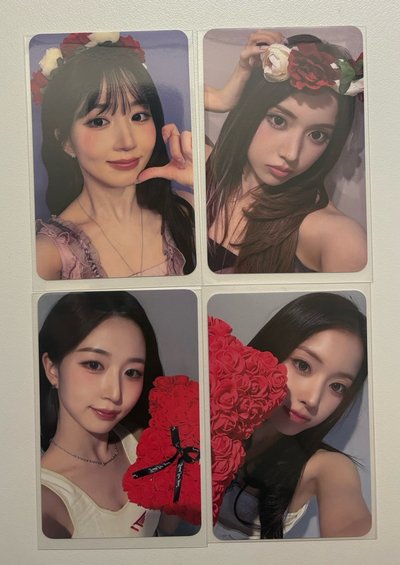玫瑰花環/熊🌟