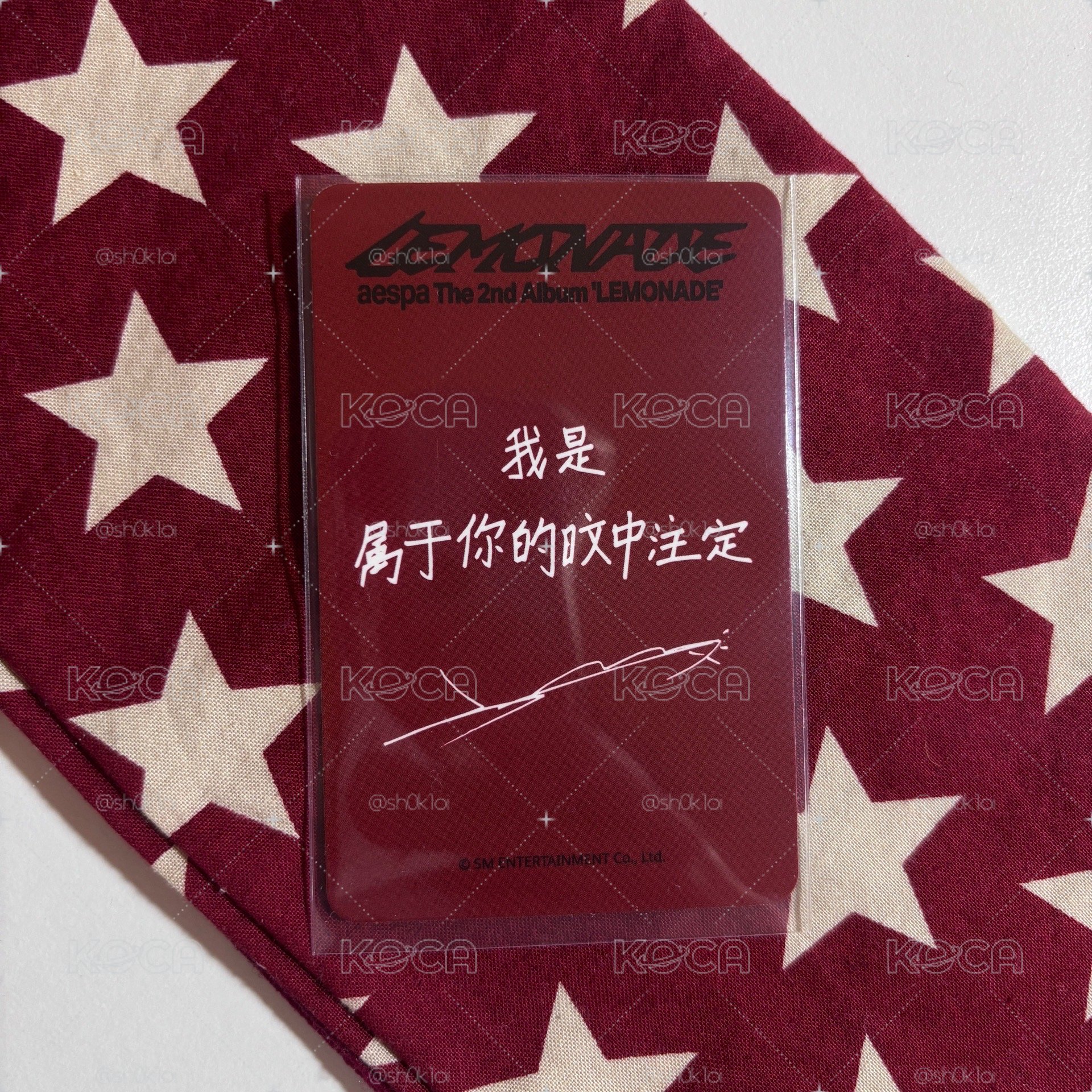 Lemonade sr預售b 冬 ⋆.˚⊹⁺