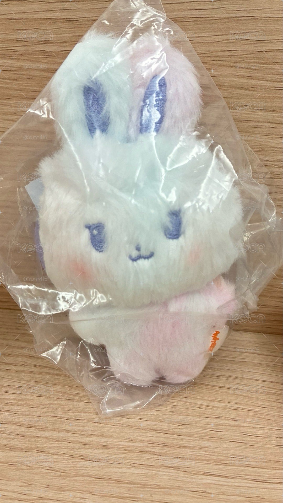 美麗的混色小兔