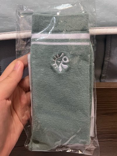 CORTIS 日巡襪子 綠色