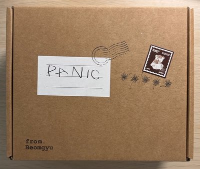 panic 空專