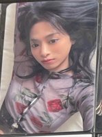 玫瑰