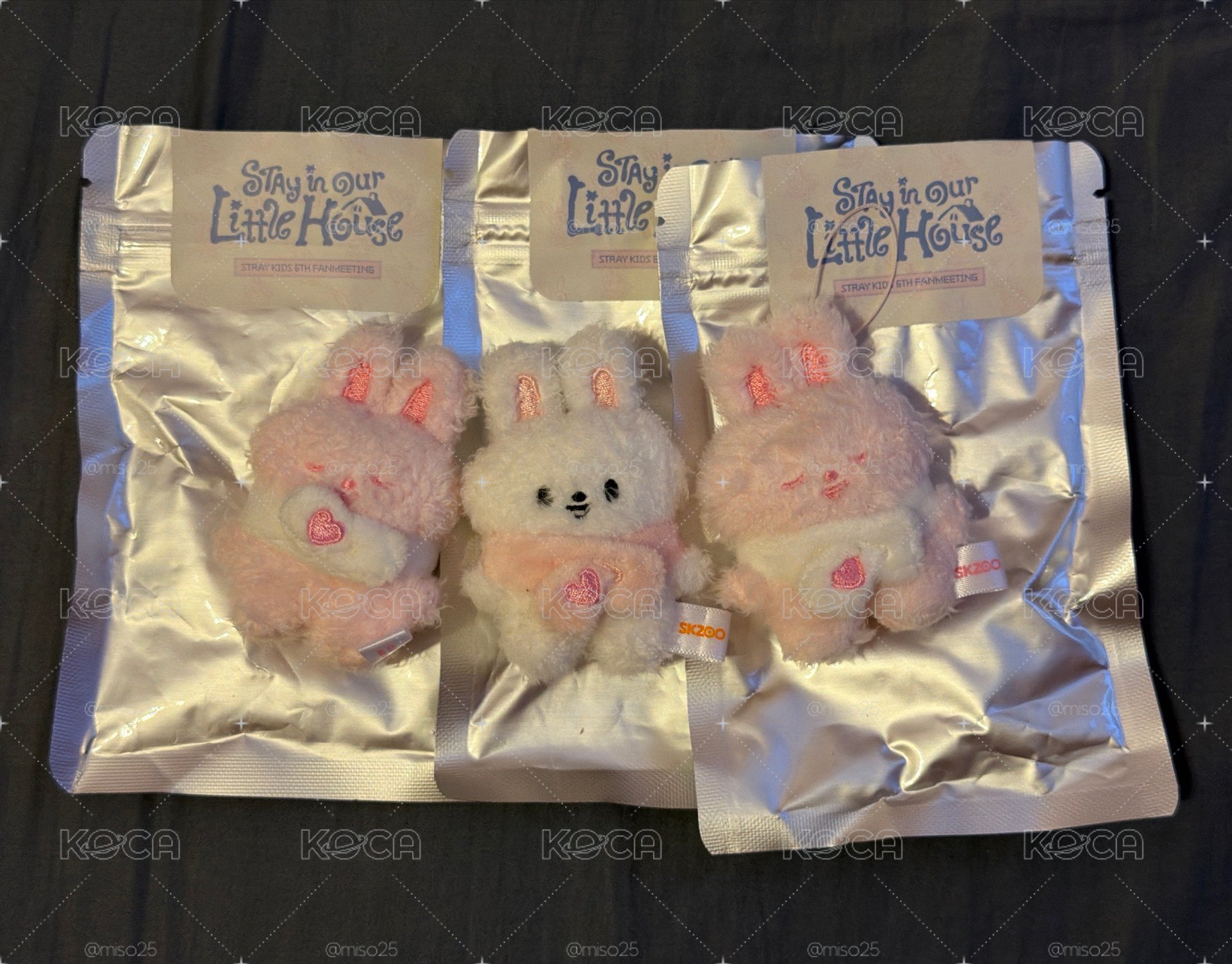 草莓潦草李畢