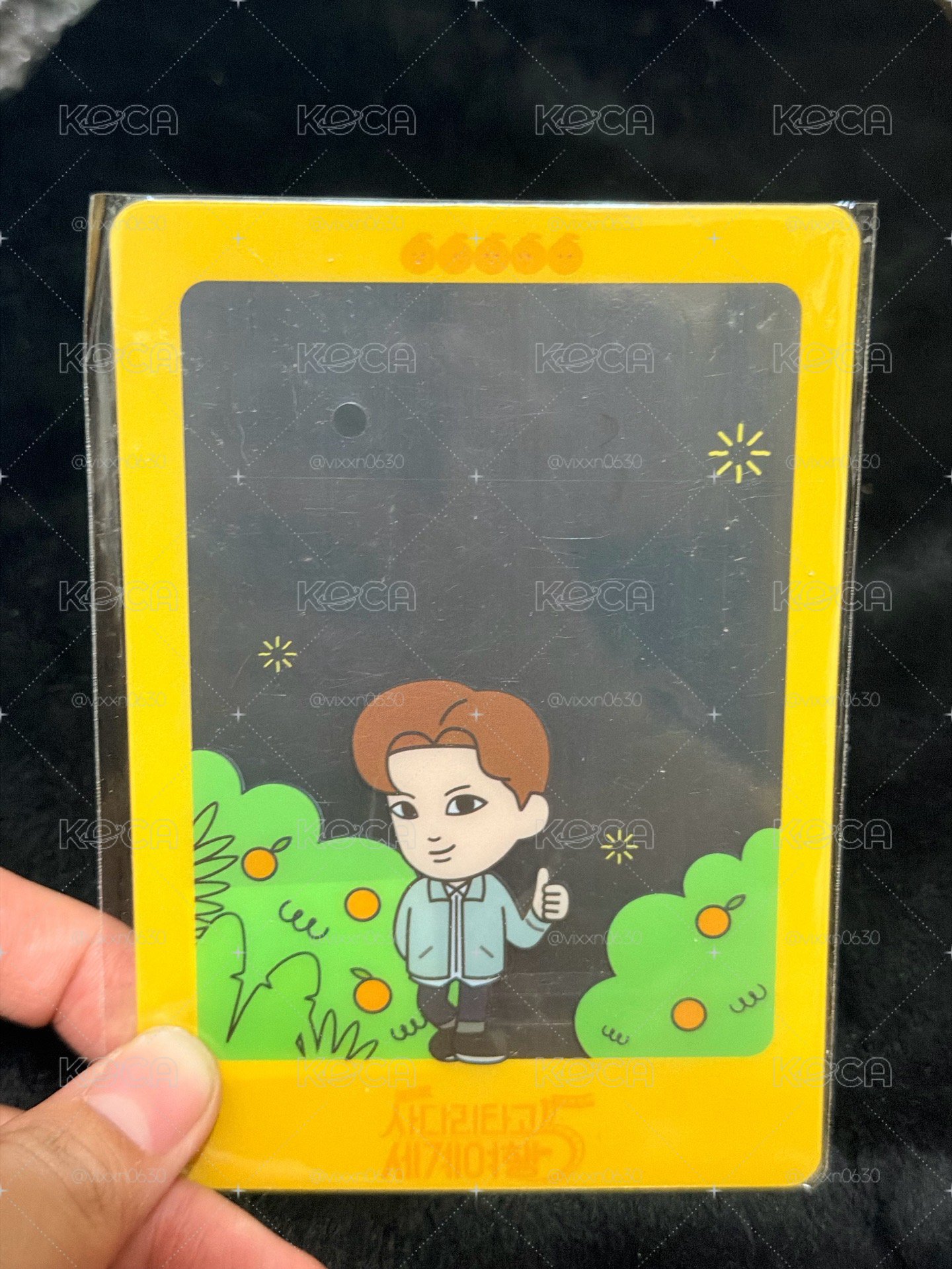 ✅全新未拆 EXO的爬梯子世界旅行 Kai透卡